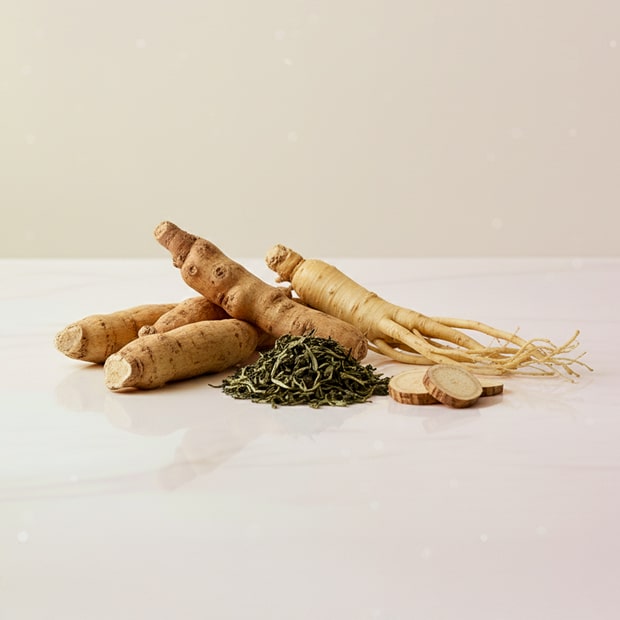 White Label Energy Tincture ingredients