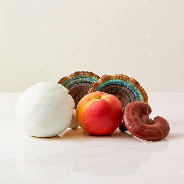 White Label Longevity Tincture ingredients