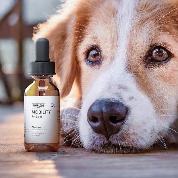 Mobility Canine Tincture