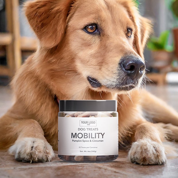 Mobility Canine