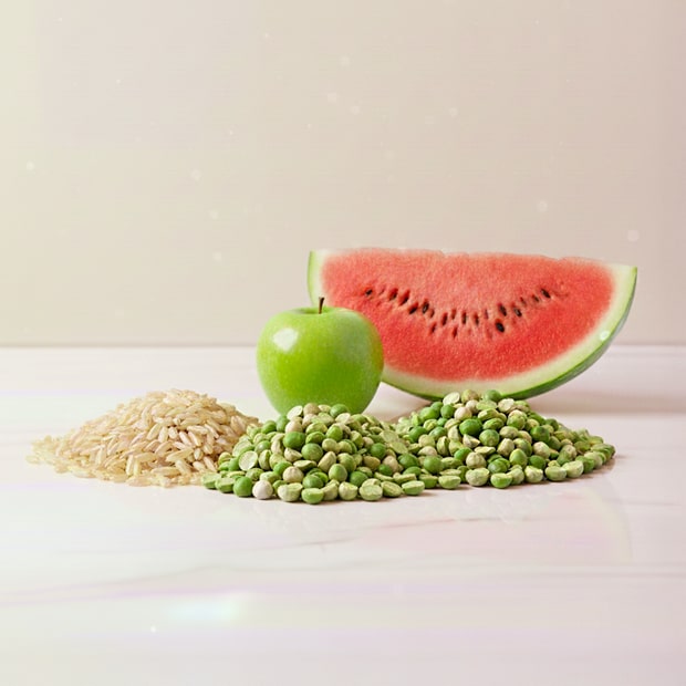 White Label Pea & Brown Rice Protein Gummies ingredients