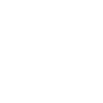 non vegan product