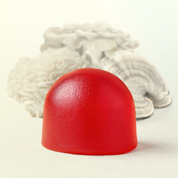 Private Label Mushroom Gummies