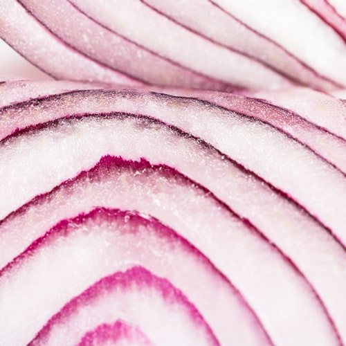 fructooligosaccharides