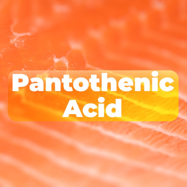 pantothenic acid