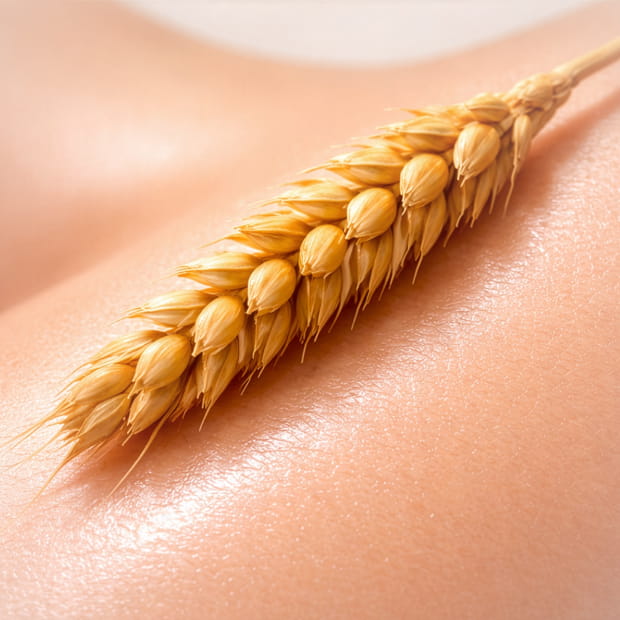 White Label Wheat Germ Oil Ingredients