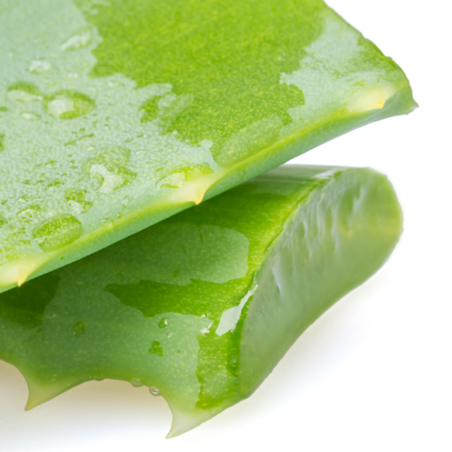 Aloe