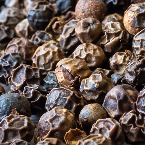 black pepper extract ingredient