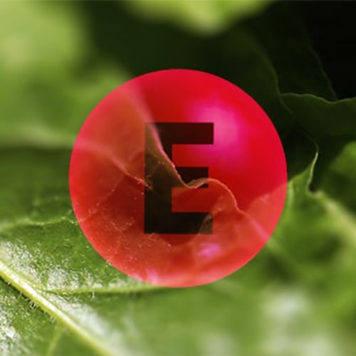 Vitamin E