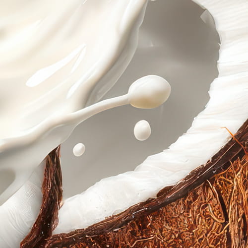 Coconut Milk