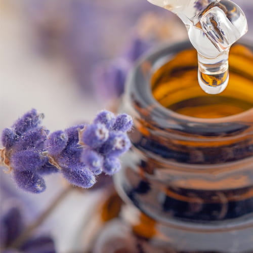 Lavender Oil