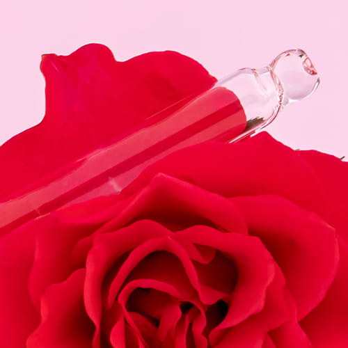 Rose Oil