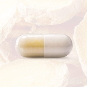 White Label Ginkgo Ginseng Capsules – Cognitive Support